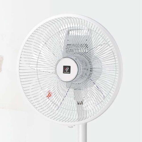 Quat cay PJ N3AS 12 1