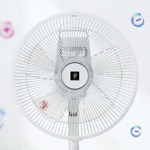 Quat cay PJ N3AS 13 1