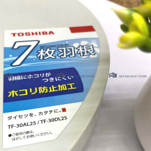 Quat-cay-Toshiba-TF-30AL25