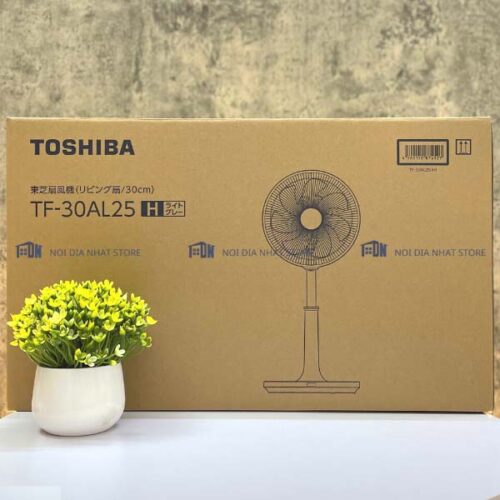 Quat-cay-Toshiba-TF-30AL25