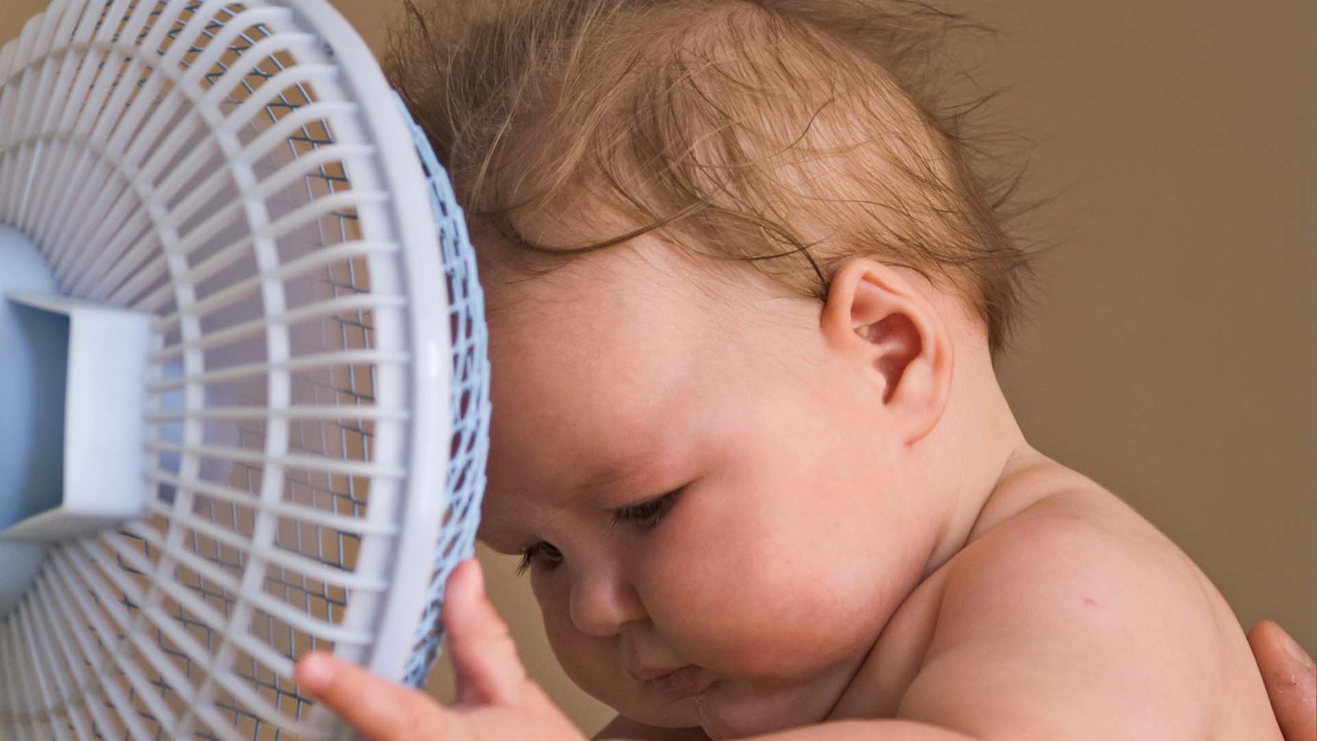 Quạt cây Sharp PJ-N3AS Động cơ AC quat cay nhat noi dia sharp pj n3as dong co ac 5