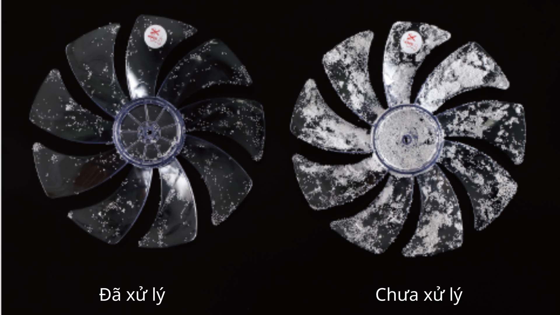 quat treo tuong toshiba tf 30rk25 model 2022 dong co ac 2