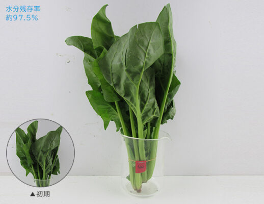 Tủ lạnh Hitachi R-WX62K 615L mặt gương sang trọng tu lanh hitachi r wx62k 615l mat guong sang trong 22