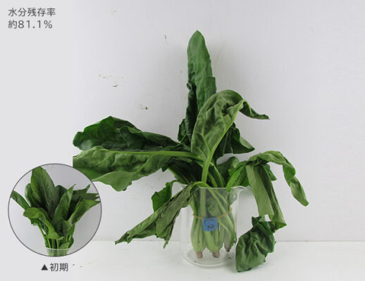 Tủ lạnh Hitachi R-WX62K 615L mặt gương sang trọng tu lanh hitachi r wx62k 615l mat guong sang trong 23