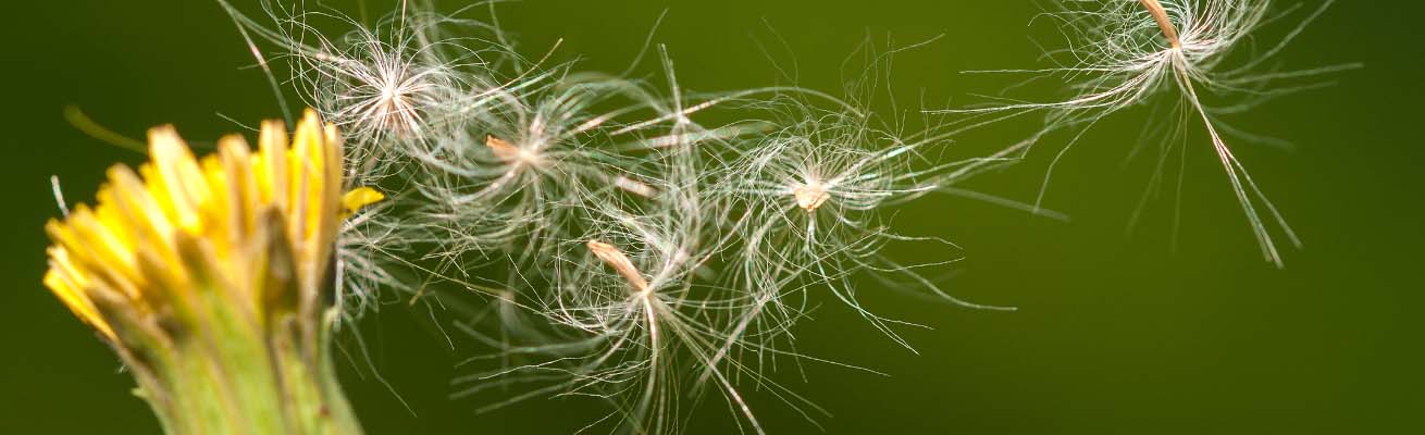 May-hut-am-Mitsubishi-MJ-M100TX-W