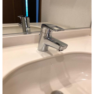 Voi rua mat TOTO TLHG31AEFR 4