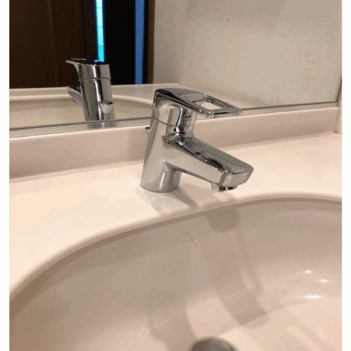 Voi rua mat TOTO TLHG31AEFR 4