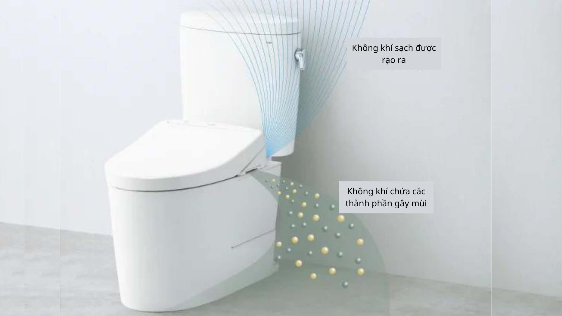 Nắp bệt Nhật nội địa TOTO TCF8CS67 Bảng điều khiển rời Nắp bệt Nhật nội địa TOTO TCF8CS67 Bảng điều khiển rời