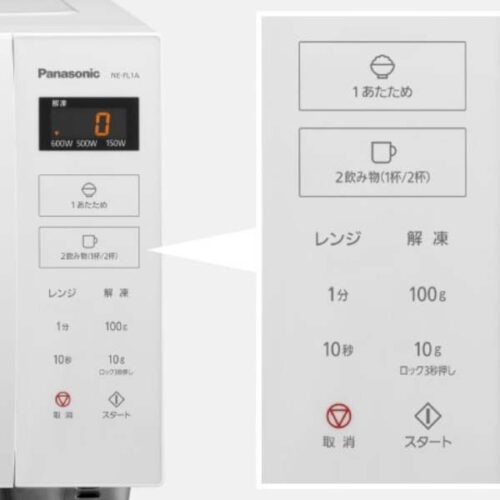 Lo-vi-song-Panasonic-NE-FL1A-1