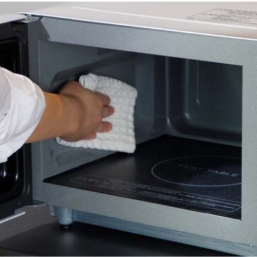 Lo-vi-song-Panasonic-NE-FL1A-1