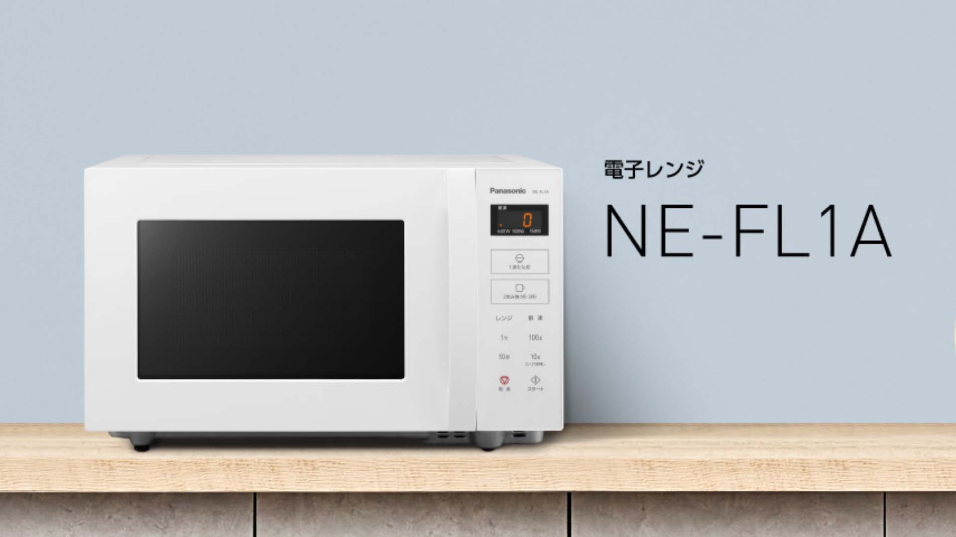 Lo-vi-song-Panasonic-NE-FL1A-1