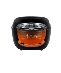 Noi-com-dien-Tiger-JPL-H100