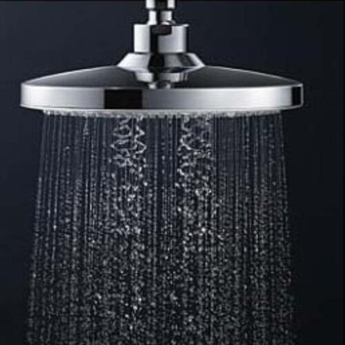 Sen-cay-TOTO-TBW01403JA