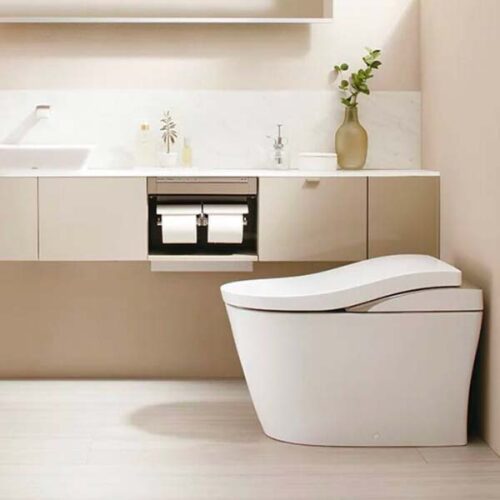 Bon-cau-TOTO-CES9820