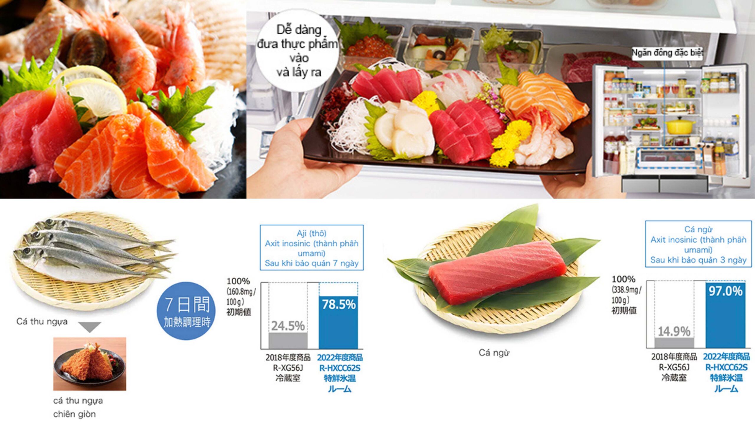 Tu-lanh-Hitachi-R-HXCC62T