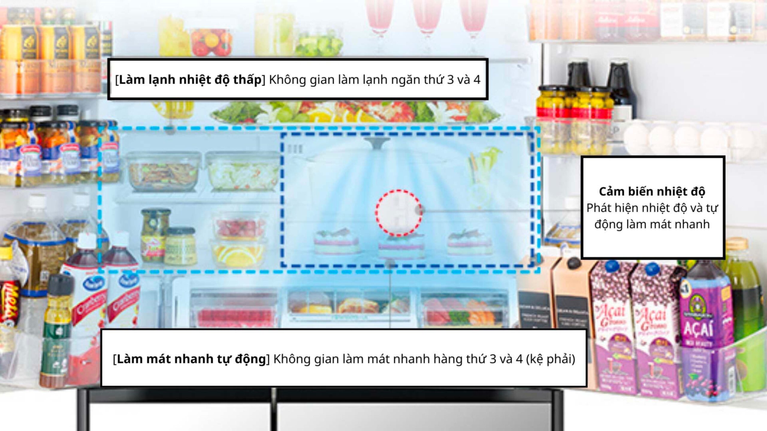 Tu-lanh-Hitachi-R-HXCC62T