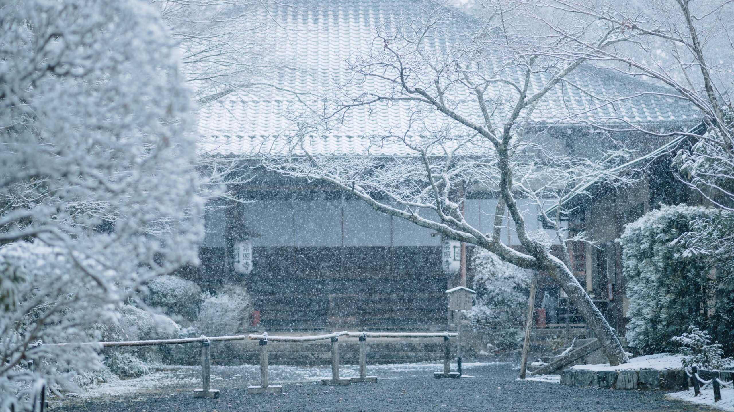 May-hut-am-Mitsubishi-MJ-P180WX-W