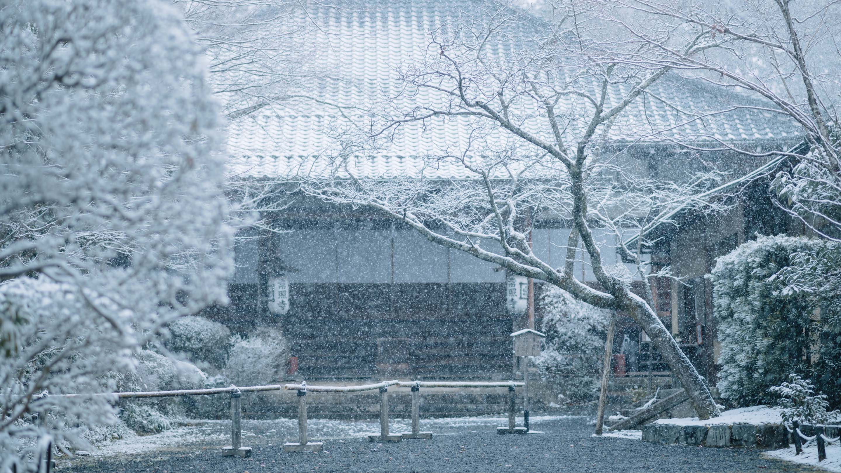 May-hut-am-Mitsubishi-MJ-P180WX-W