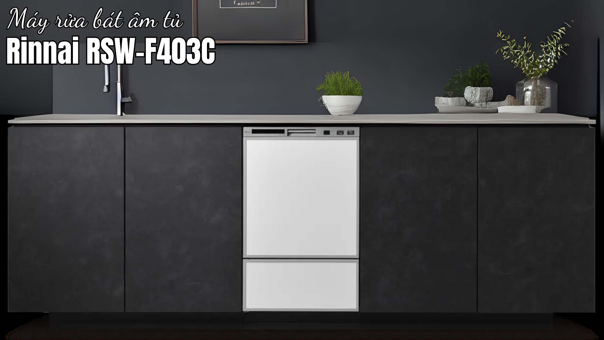 May-rua-bat-Rinnai-RSW-F403C