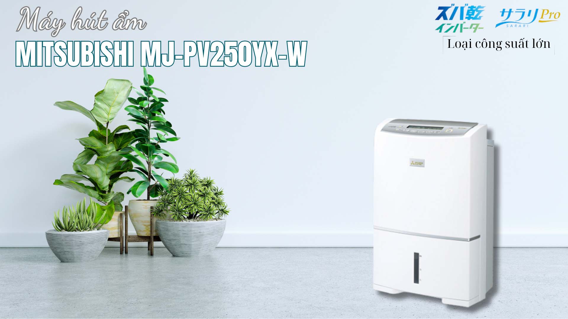 Hút ẩm Mitsubishi MJ-PV250YX-W Model 2025~2026 May-hut-am-Mitsubishi-MJ-PV250YX-W