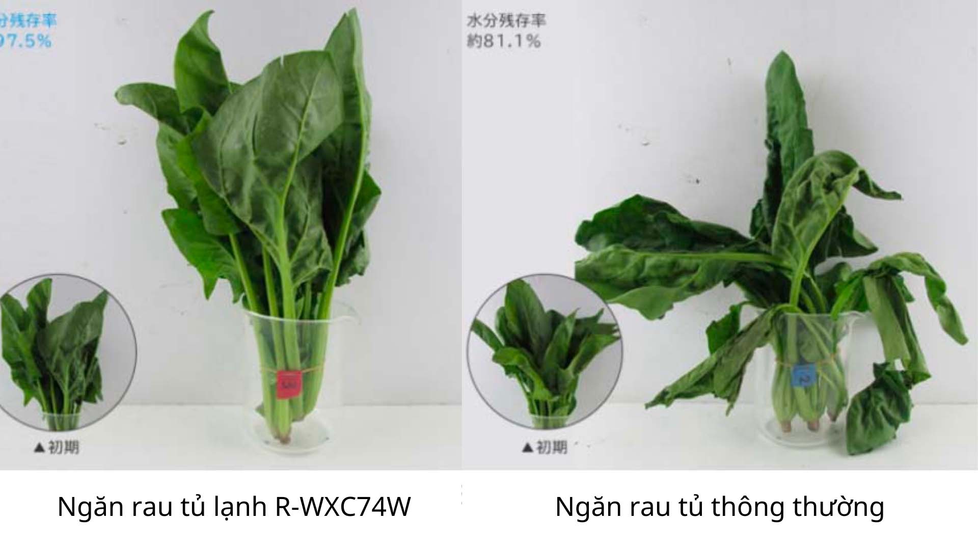 Tu-lanh-Hitachi-R-WXC74X-15