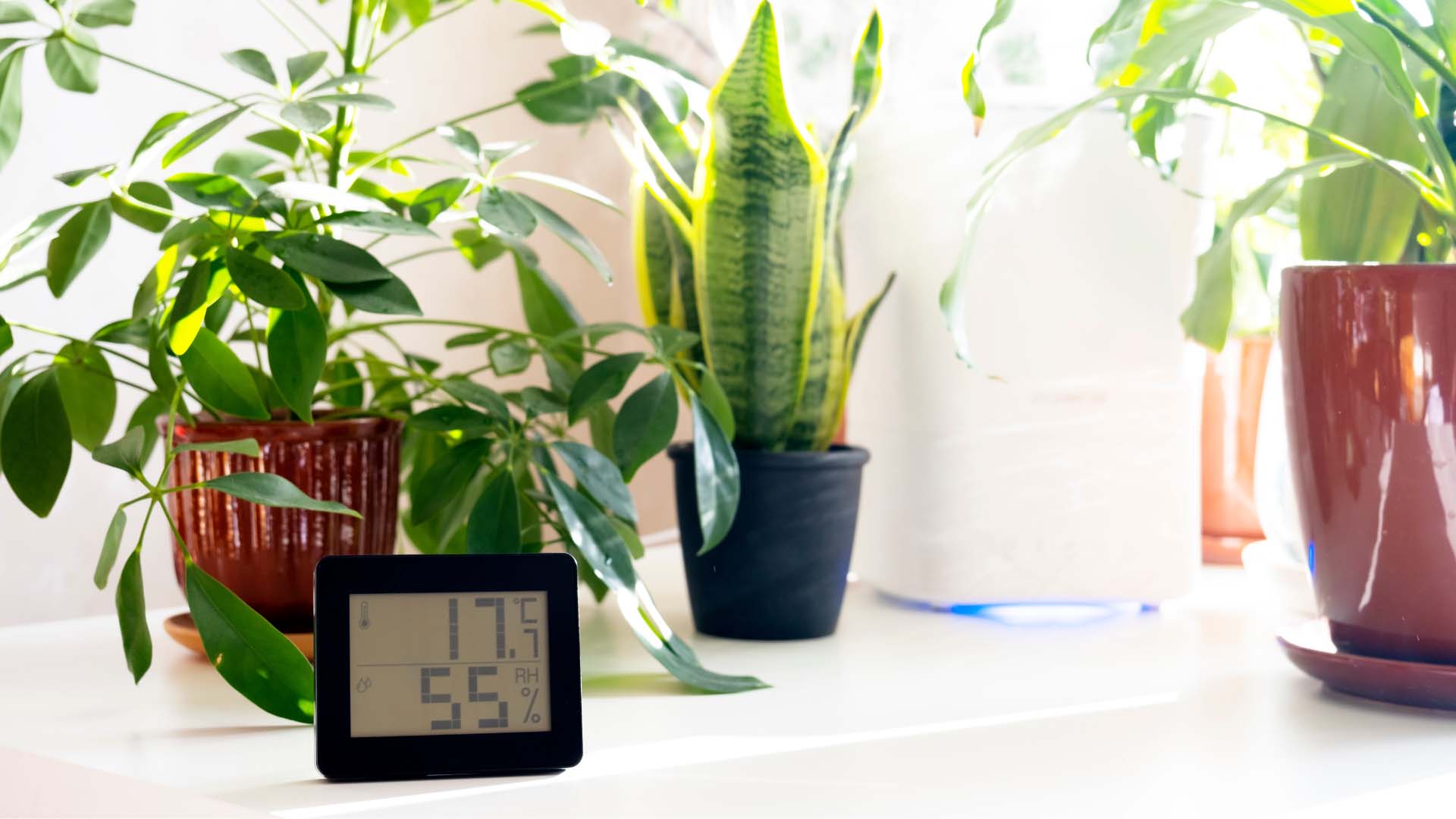 May-hut-am-Mitsubishi-MJ-PV250YX-W