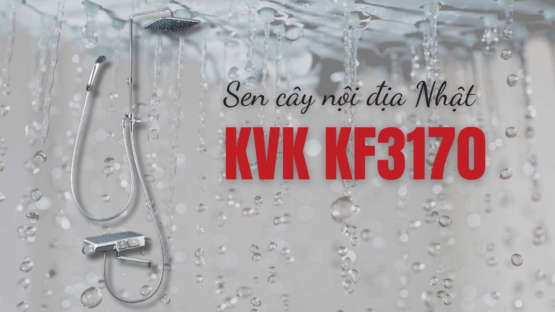 Sen-cay-KVK-KF3170-3