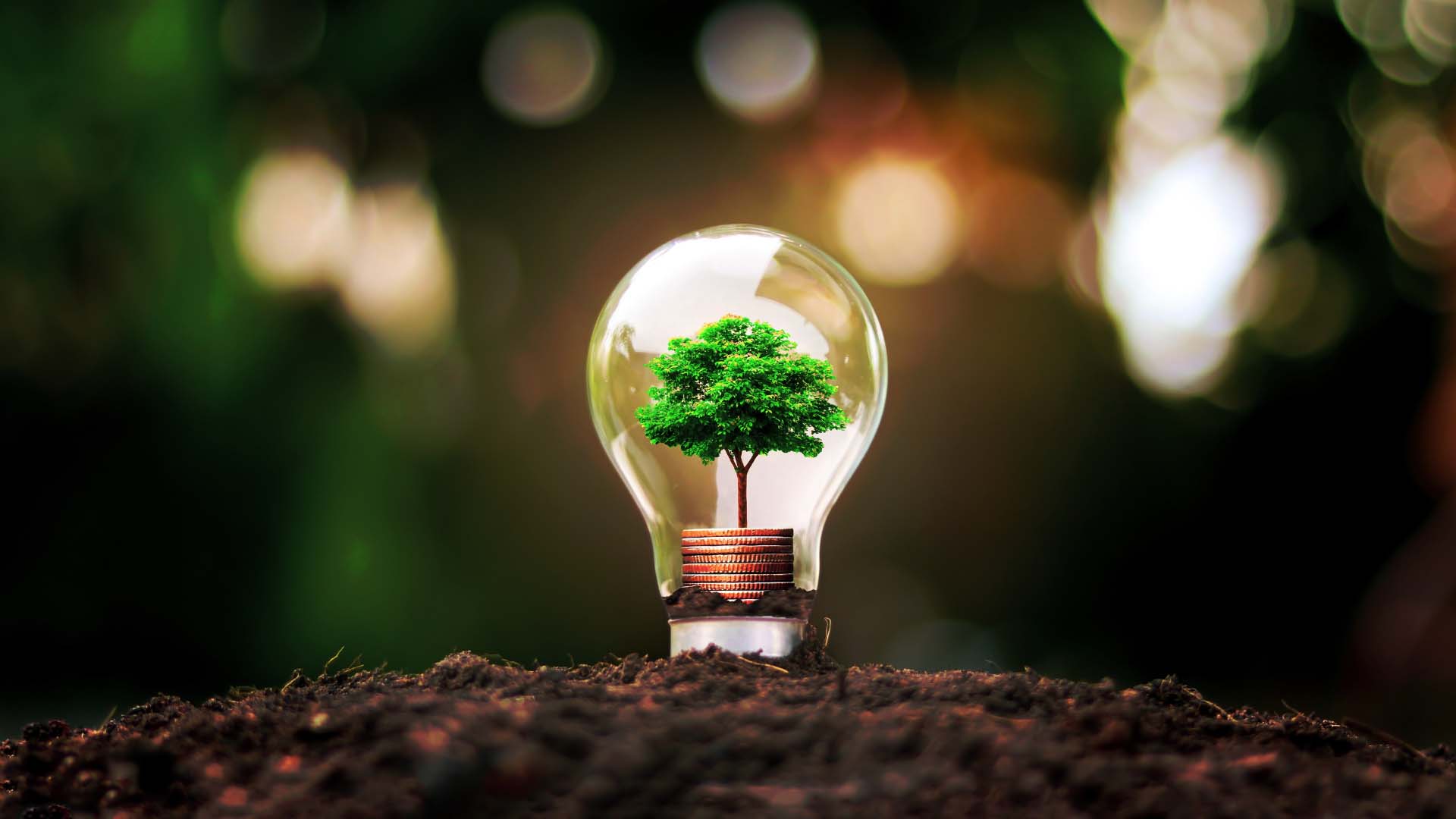 Tu-cap-dong-Mitsubishi-MF-U22K-W