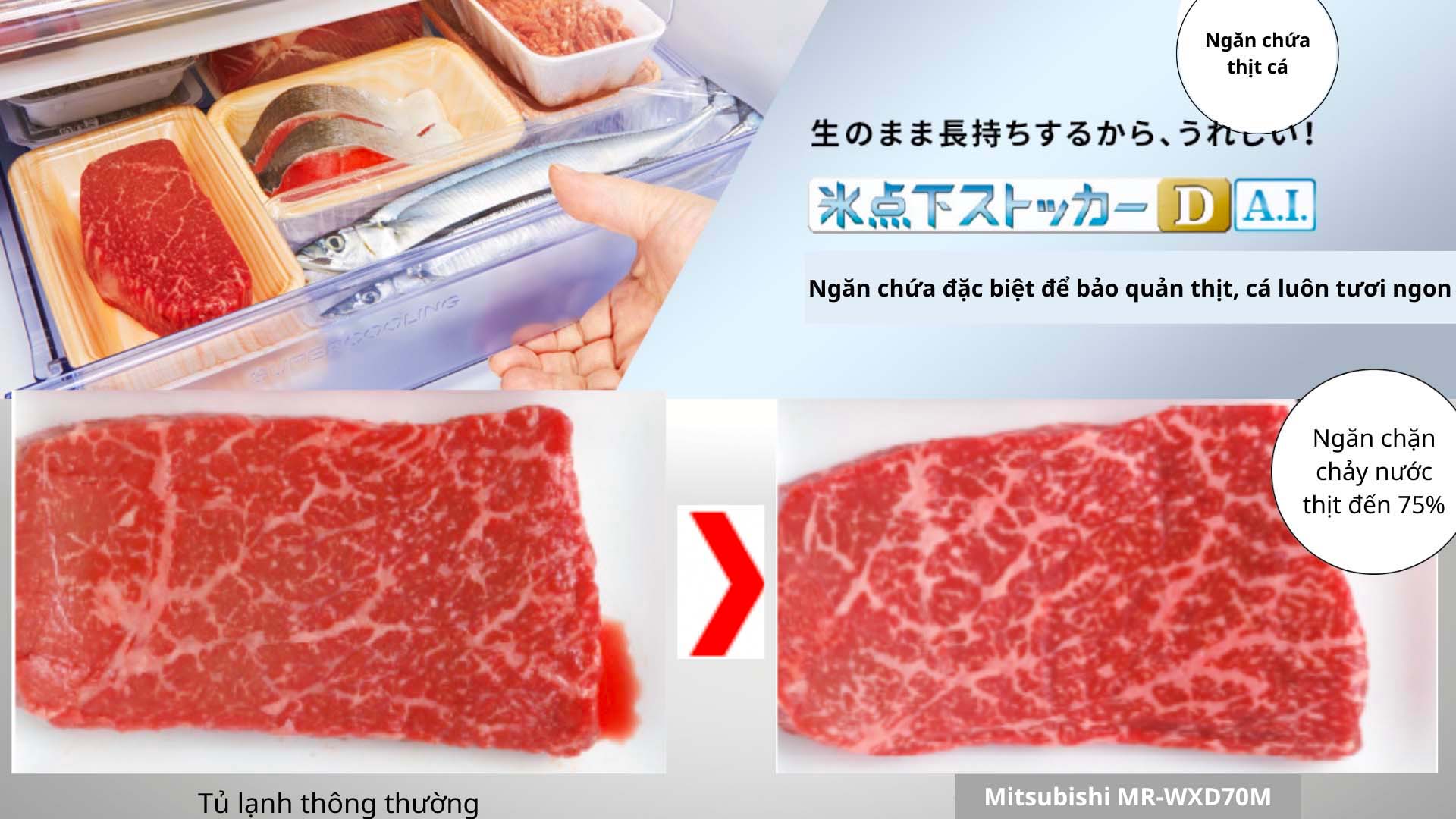 Tu-lanh-Mitsubishi-MR-WXD70M