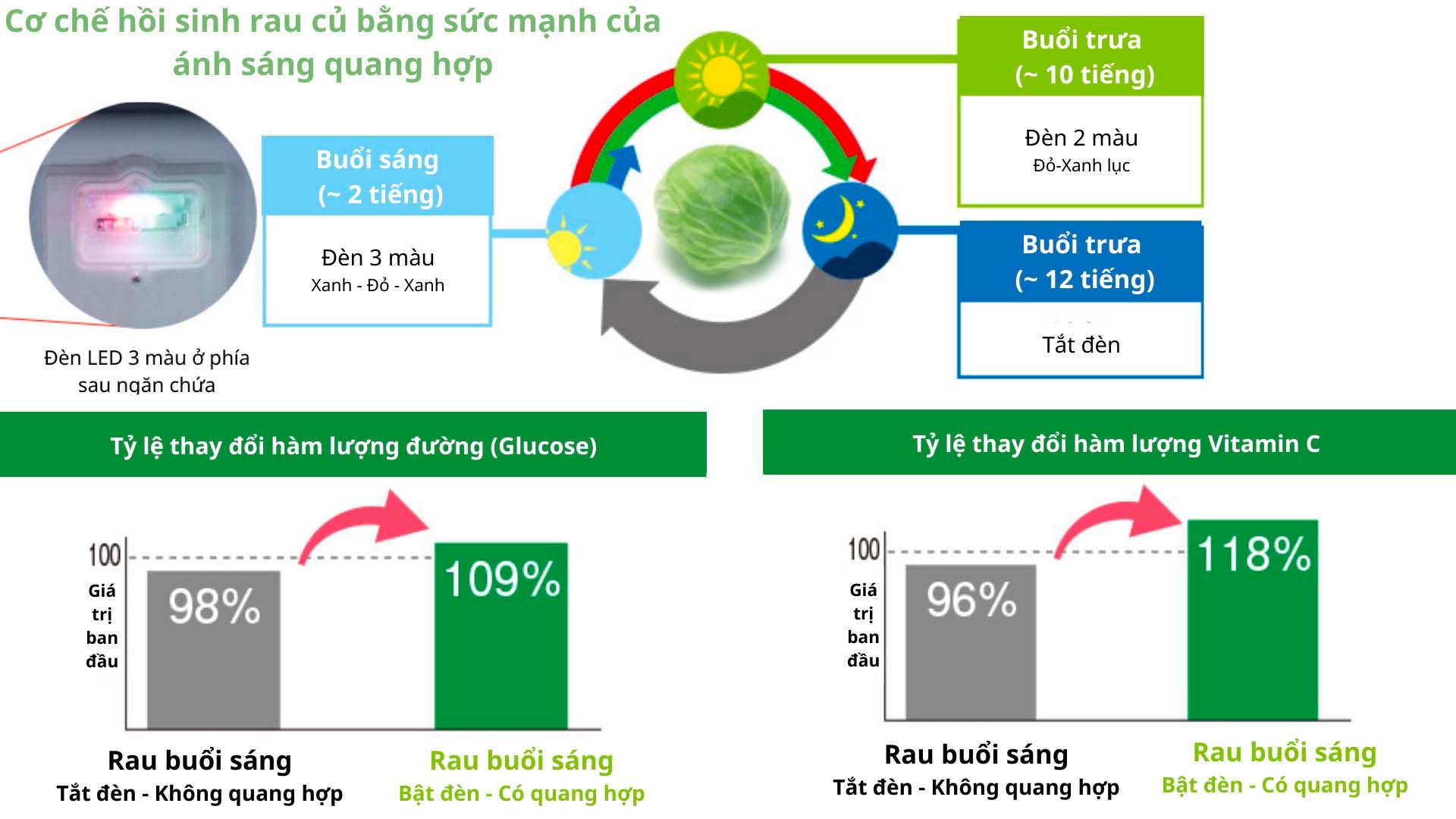 Tu-lanh-Mitsubishi-MR-WXD70M