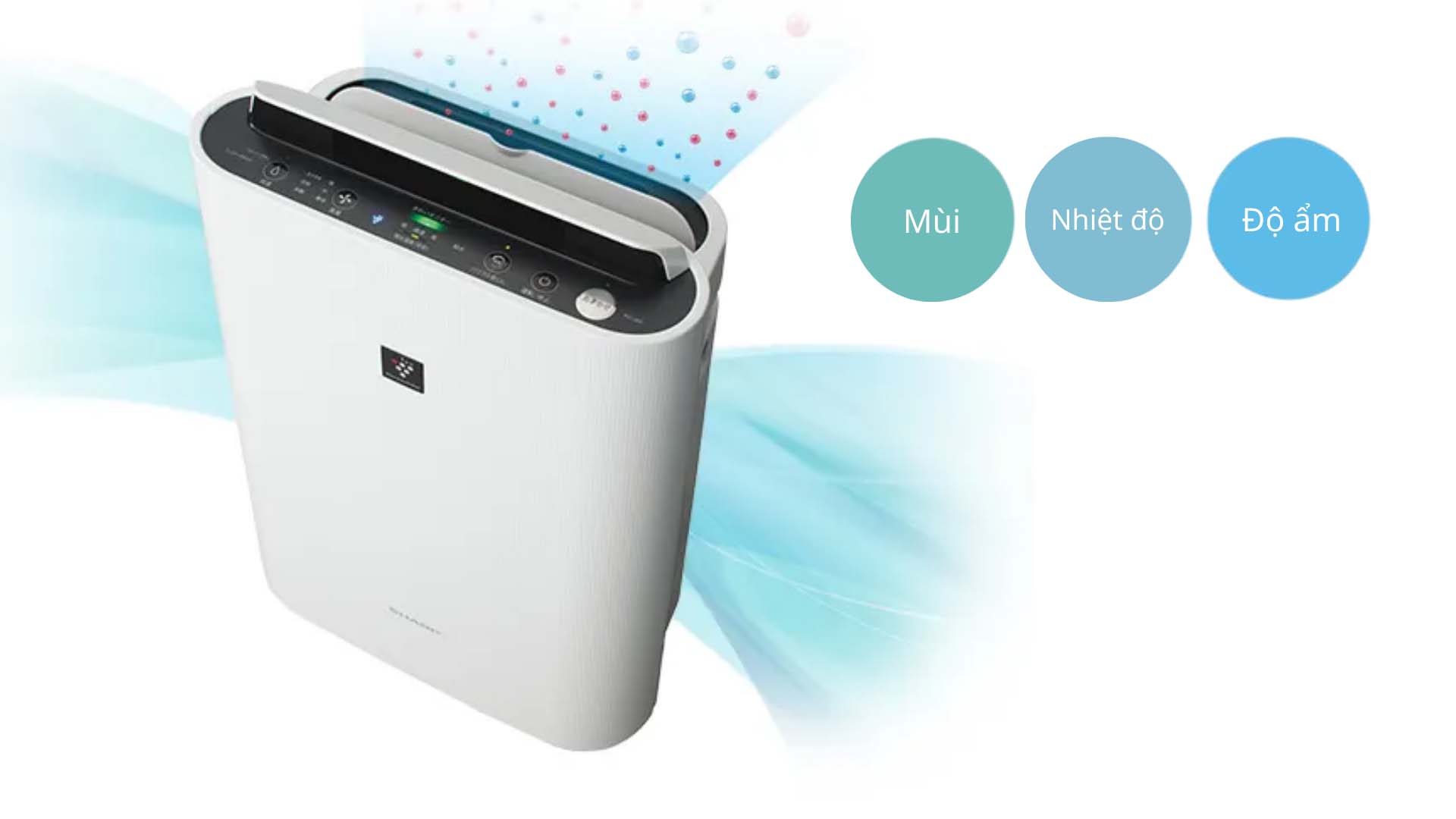 Loc-khong-khi-Sharp-KC-T50-W