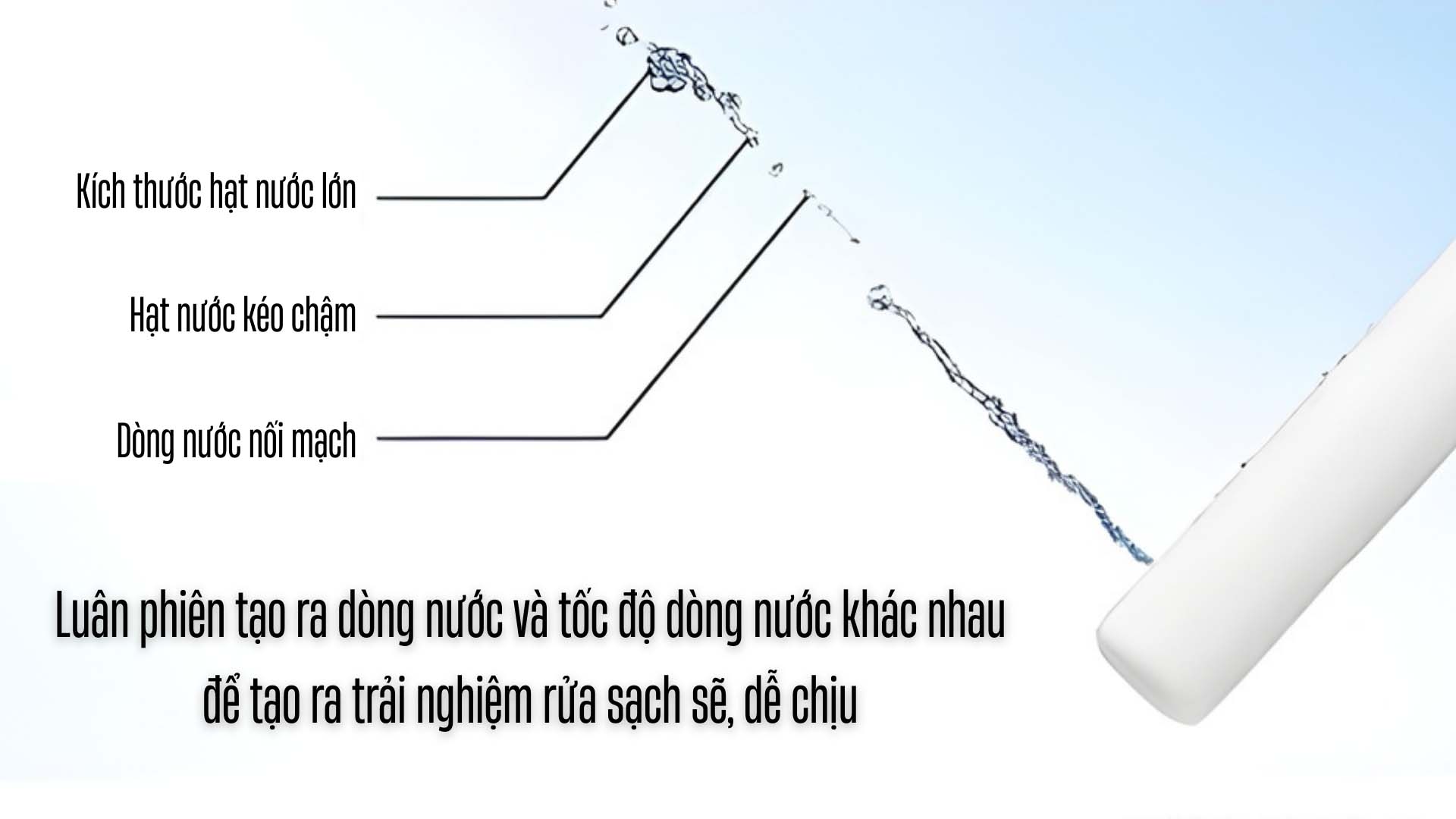 Nap-bon-cau-TOTO-TCF8FKM02