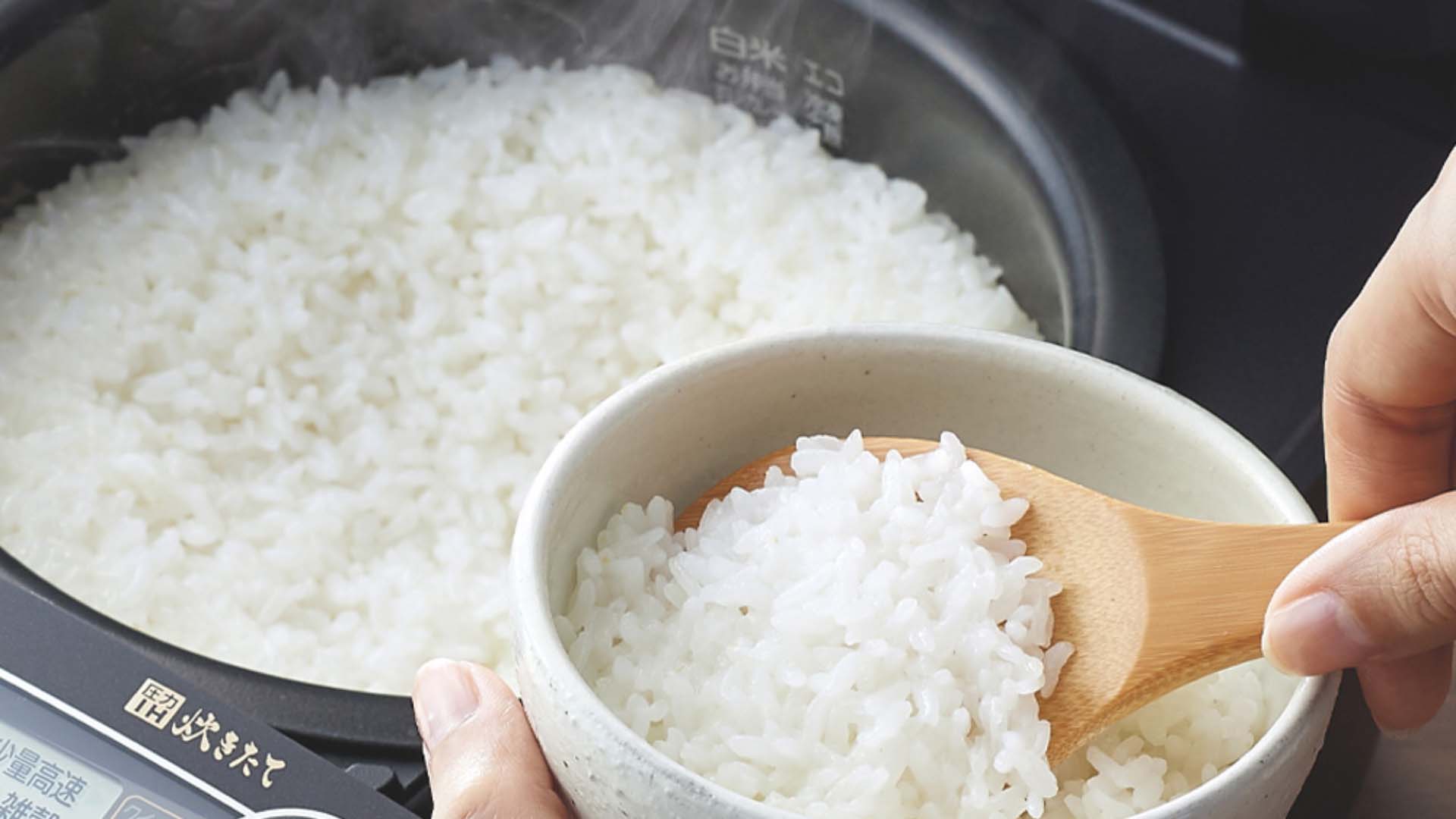 Noi-com-Tiger-JPV-S100