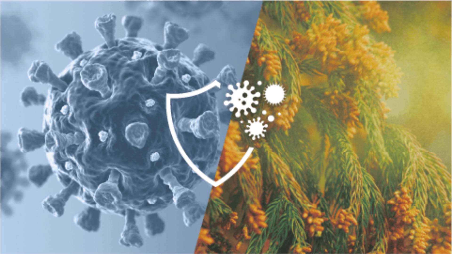 May-loc-khong-khi-DAIKIN-ACK705A